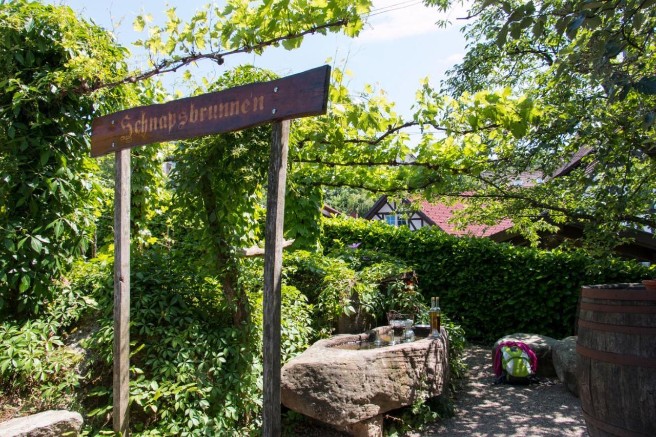 Terrassenpark Apartments Sasbachwalden Eksteriør billede